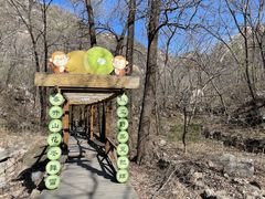 -大岭沟猕猴桃谷风景区