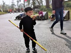 -枫香湖儿童公园