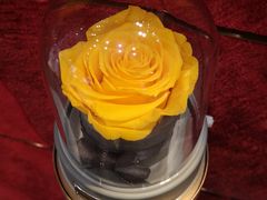 -ROSEONLY诺誓(沈阳万象城店)
