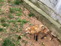 -西霞口神雕山野生动物世界