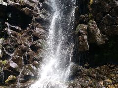 -望天鹅景区