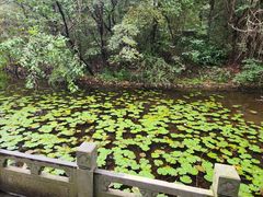 -天目湖山水园