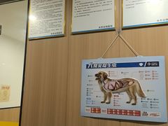 -米苏动物医院·犬猫专科·骨科外科内窥镜