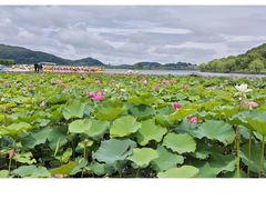 -东湖景区