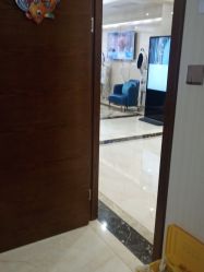 -碧莲盛·不剃发植发