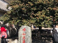 -青岛崂山太清宫