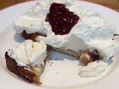 Elephant&nbsp;Ricotta&nbsp;Toast&nbsp;-Elephant Grounds(STARSTREET)