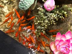 -冶春茶社(星汉大厦店)