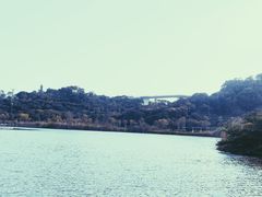 -飞凤山奥体公园