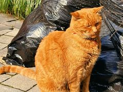 -思南公馆商业街