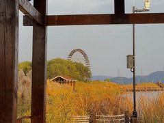 -苏州太湖湖滨国家湿地公园