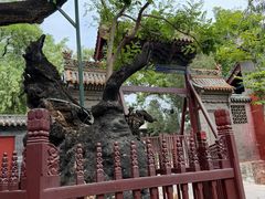 -晋祠博物馆