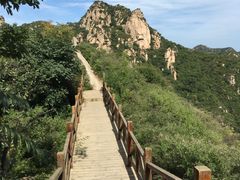 -大岭沟猕猴桃谷风景区