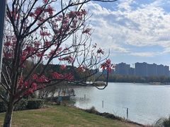 -昆山城市生态森林公园