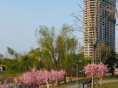 -郭记老汉口热干面