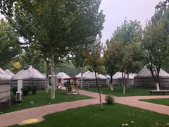 -九十九顶毡房(阜石路店)