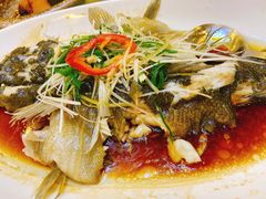 蒸鲈鱼-渔意楼·驰名沙田乳鸽(五羊旗舰店)
