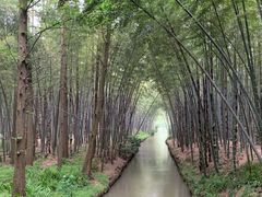 -同里国家湿地公园