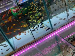 -李村大集