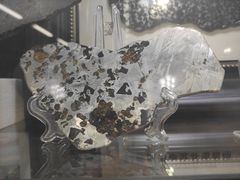 -志强陨石馆(双季花艺店)