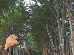 -西安电影制片厂