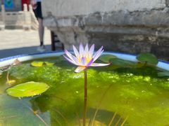 -西安市广仁寺