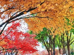 -白马涧龙池景区