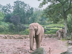 -乐和乐都主题乐园