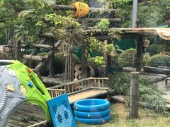 -大连森林动物园