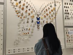 -四川大学博物馆