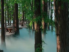 -东湖落雁景区