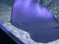 -临沂极地海洋王国