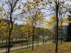 -中国移动南方基地