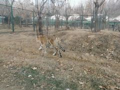 -郑州市动物园