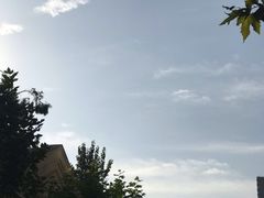 -海底捞火锅(高科广场店)