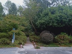 -宝界山林公园