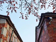 -晋江五店市传统文化旅游区
