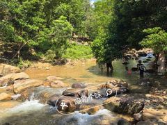 -广州白江湖森林公园