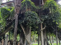 -云南民族村