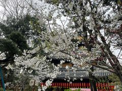 -龙华寺