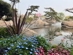 -罗红摄影艺术馆