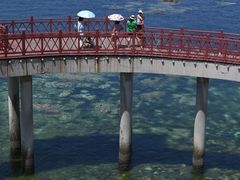 -养马岛旅游度假区
