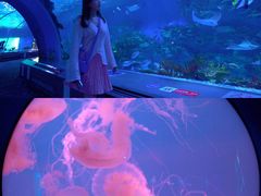 -前王院•巧克力海鲜市集餐厅(万平口店)