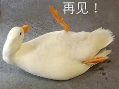 -李清佛跳墙|福建省十大名厨之首(后江埭店)
