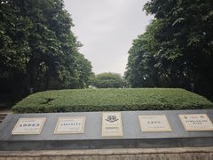 -南山植物园