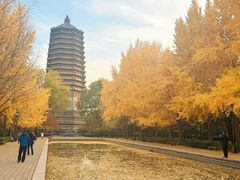 -玲珑塔公园
