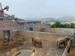 -西霞口神雕山野生动物世界