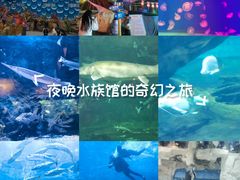 -华夏文旅西安度假区