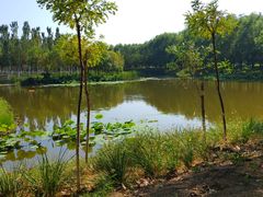 -东郊湿地公园