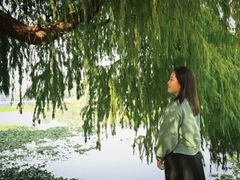 -南宁良凤江国家森林公园